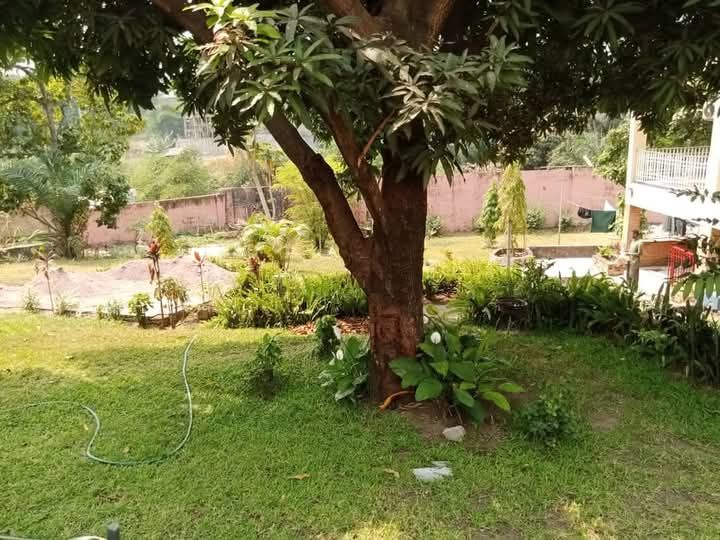 Terrain - Ngaliema, Kinshasa