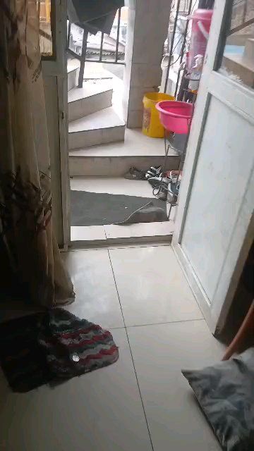 Appartement à Kinshasa