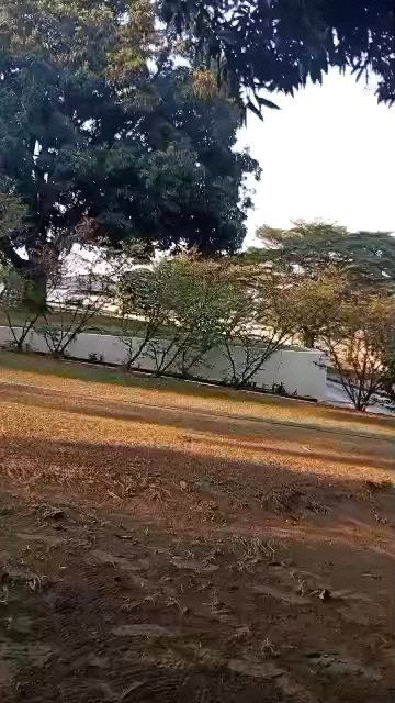 Terrain — Kinshasa